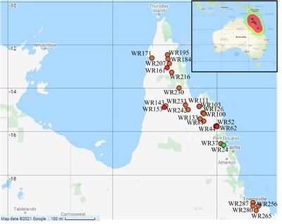 Reticulate Evolution in AA-Genome Wild Rice in Australia